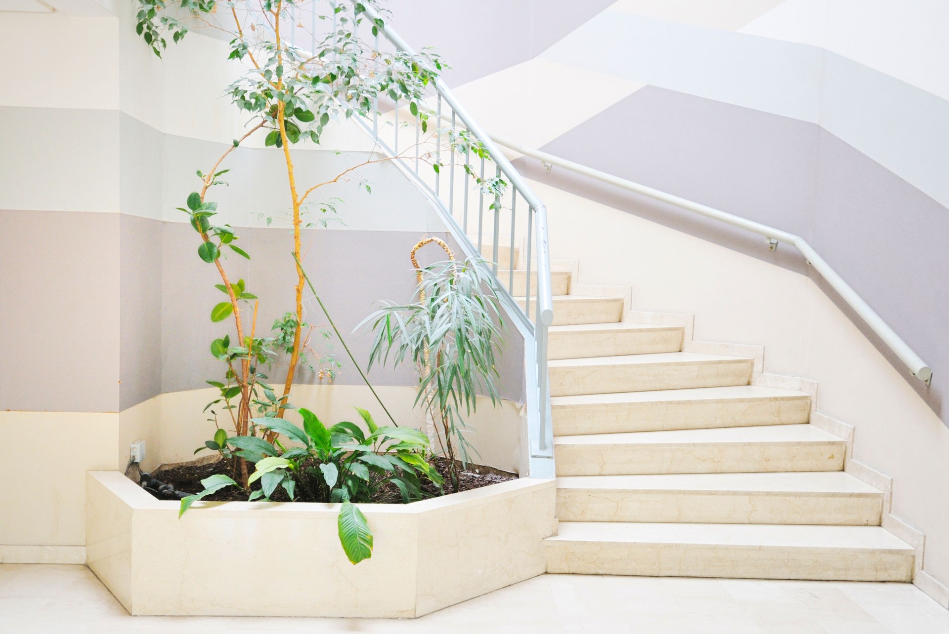 Lobby with plants